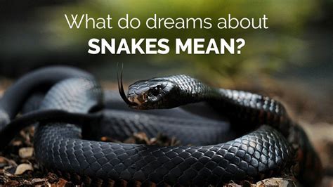 Conquering the Fear: Techniques for Dealing with Dreams Involving Serpent Bites