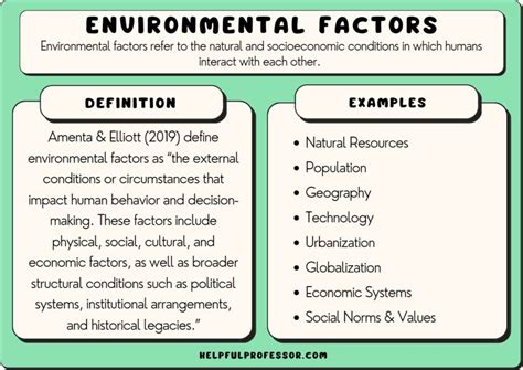 Considerations for Environmental and Cultural Influences