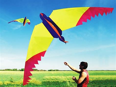 Considering Your Skill Level and Kite Flying Goals