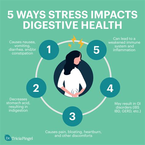 Considering the Impact of Stress and Anxiety on Digestive Health and Dream Patterns