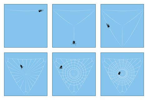 Constructing Your Elastic Orb: A Step-by-Step Manual