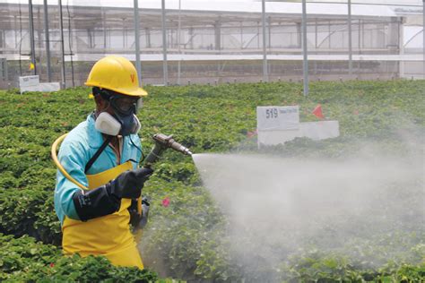 Controlling Pests and Diseases