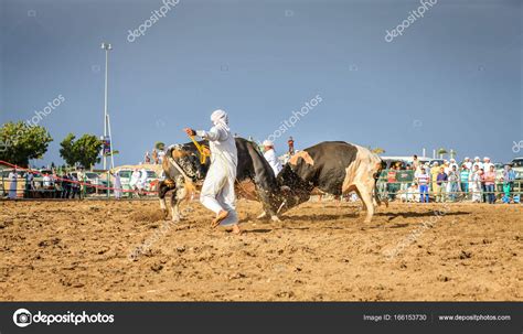 Controversies and Debates Surrounding the Folk Tradition of Bull Competitions