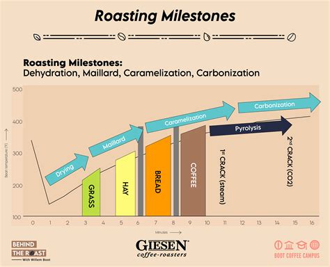 Corn Varieties and Their Influence on Flavor during the Roasting Process