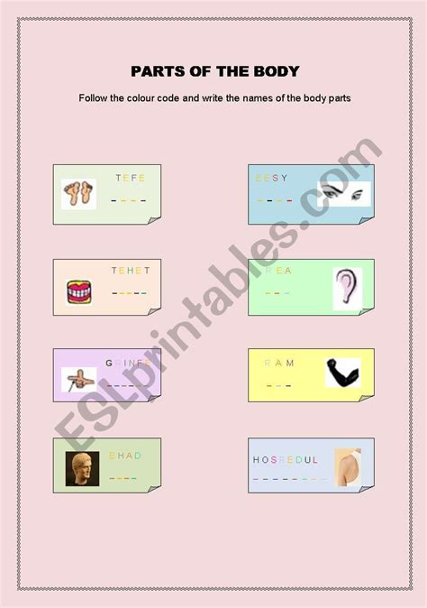 Cracking the Code: Body Measurements