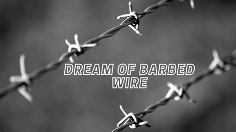 Cracking the Enigmatic Code of Dreams Featuring Barb Wire