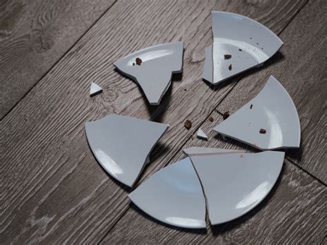 Cracking the Enigmatic Symbolism of a Shattered Dish Vision