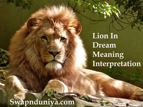 Cracking the Hidden Meanings in Dreams of Lion Prides