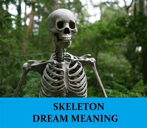 Cracking the Puzzle of Skeleton-related Dreams