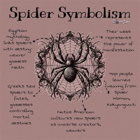 Crawling Symbols: The Significance of Spider Imagery