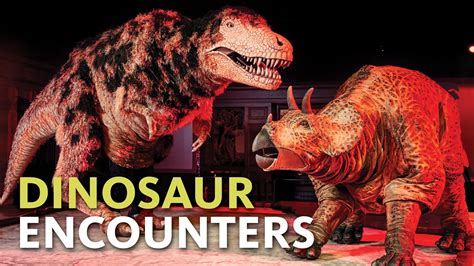 Create Unforgettable Memories with Dinosaur Encounters