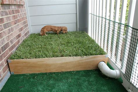 Create a Designated Pet Potty Area to Concentrate Waste in One Spot