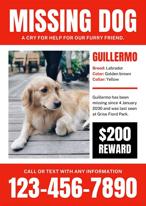 Creating Effective Missing Pet Posters: Tips for Maximizing Visibility and Spreading the Word