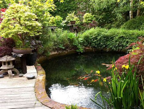 Creating Your Own Oasis: A Step-by-Step Journey Towards Crafting a Serene Aquatic Haven