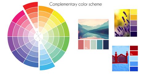 Creating a Harmonious Color Scheme