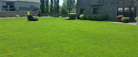 Creating a Picture-Perfect Yard: Essential Advice for Growing and Caring for Your Turf