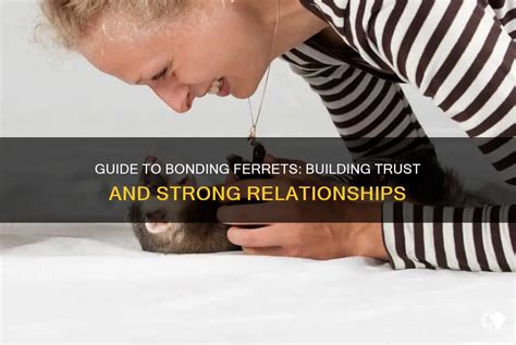 Creating a Strong Bond: Building a Relationship with your Ferret