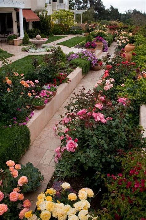 Creating a Stunning Rose Garden: Design Ideas and Complementary Plants