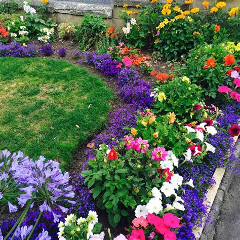 Creating a Vibrant Flower Border: Suggestions for Combining Different Blooms