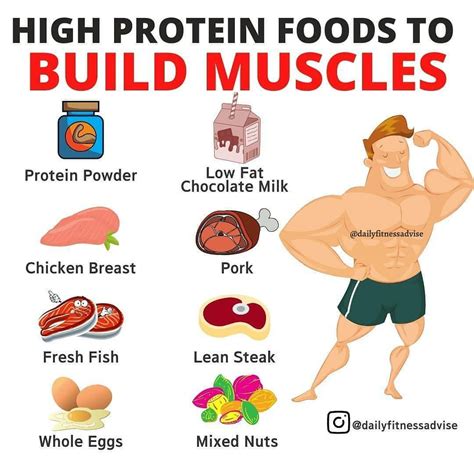 Creating a Well-Balanced Diet to Support Muscle Growth