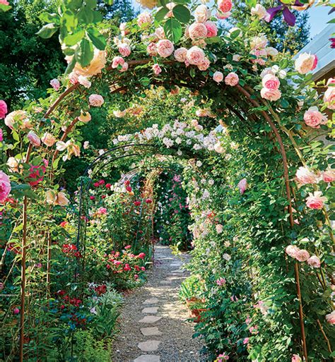 Creating an Alluring Design for Your Rose Garden