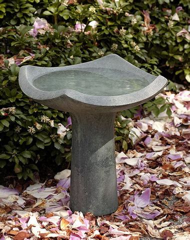 Creating an Irresistible Attraction: Why a Birdbath is Vital for Your Garden