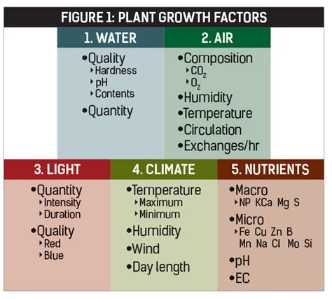 Creating an Optimal Environment for Plant Growth