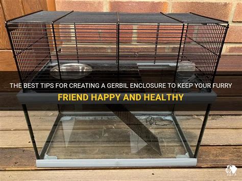 Creating the Ideal Enclosure for Your Furry Companion