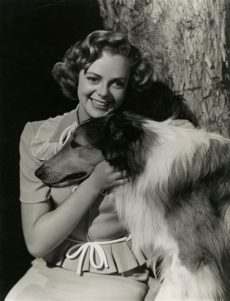 Critics' Reviews and Feedback on June Lockhart's Performances