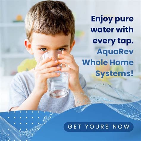 Crystal Clear: Selecting the Perfect Pool Filtration System