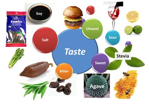 Culinary Tastes and Cooking Preferences