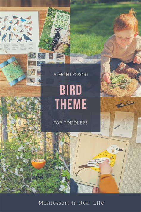 Cultivating Imagination through Bird-Watching and Bird-Themed Activities