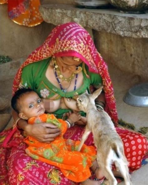 Cultural Beliefs and Traditions Surrounding Animal Milk Feeding