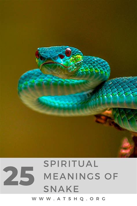 Cultural Diversity in Snake Symbolism and Meanings