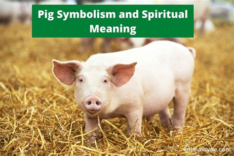 Cultural Perspectives: Exploring the Varied Symbolic Meanings of Gigantic Swine