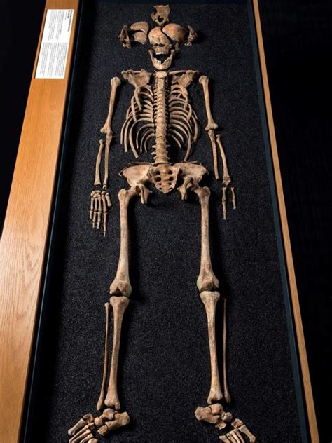 Cultural Perspectives: Skeletons in Ancient and Modern Societies