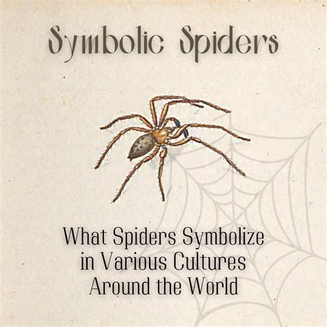 Cultural Perspectives: Spider Symbolism Around the World