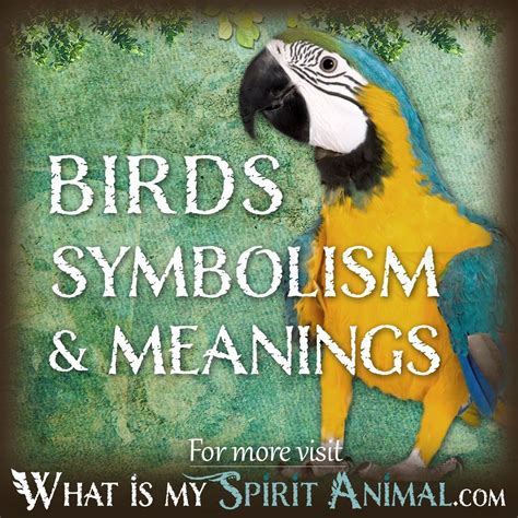 Cultural Perspectives on Avian and Aquatic Symbolism in Dream Analysis