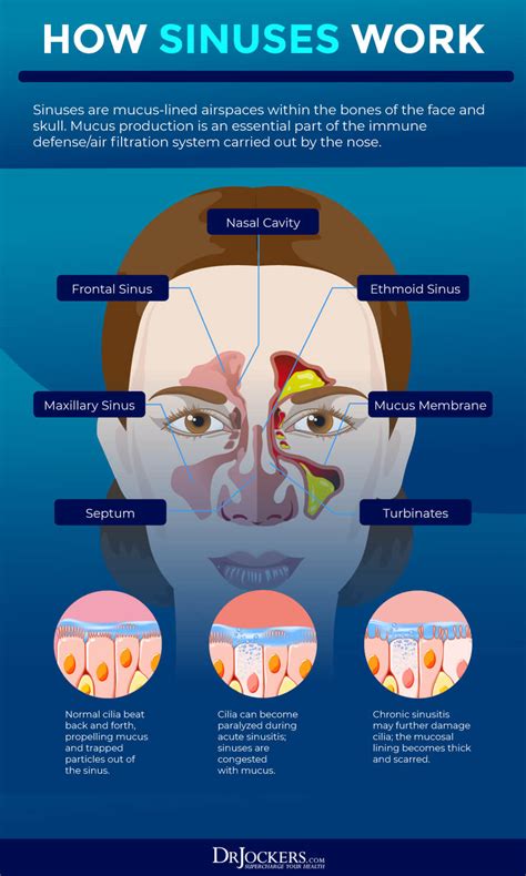 Cultural Perspectives on Dreams of Nasal Congestion