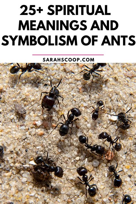 Cultural Significance: Symbolic Meaning of Roaches and Ants in Various Societies