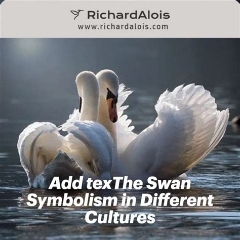 Cultural Variations: Swan Symbolism in Different Traditions