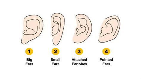 Cultural and Folklore Representations of Excessively Large Ear Shape in the Realm of Dreams