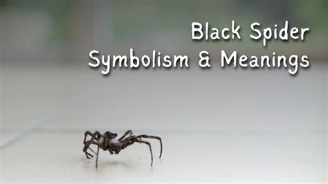 Cultural and Historical Context: Spider Symbolism