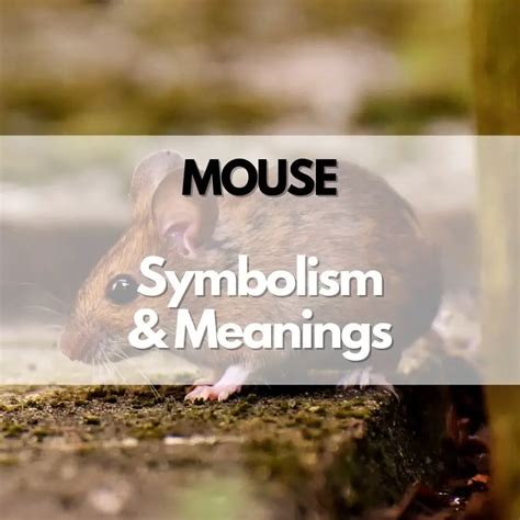 Cultural and Historical Significance: Mouse Symbolism around the World