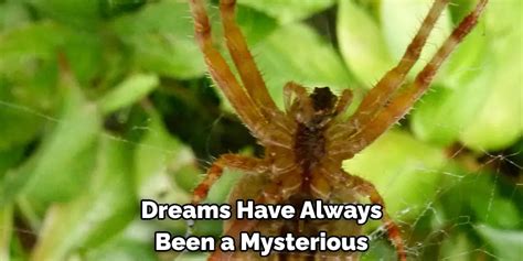 Cultural and Historical Significance of the Mysterious Dark Arachnid in Dreams