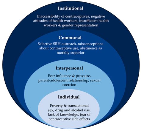 Cultural and Social Factors Influencing the Understanding of Pregnancy Dreams