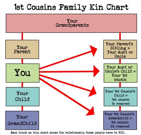 Cultural perspectives on the relationships between cousins