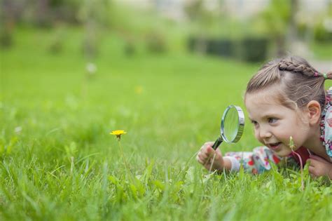 Curiosity and Excitement