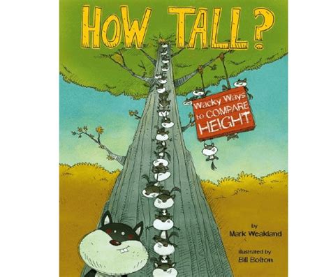 Curious About Holly Lane's Vertical Measurement?