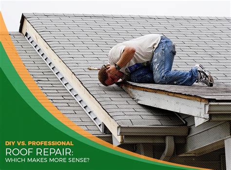 DIY vs Professional Roof Repairs: Which Option Suits You Best?